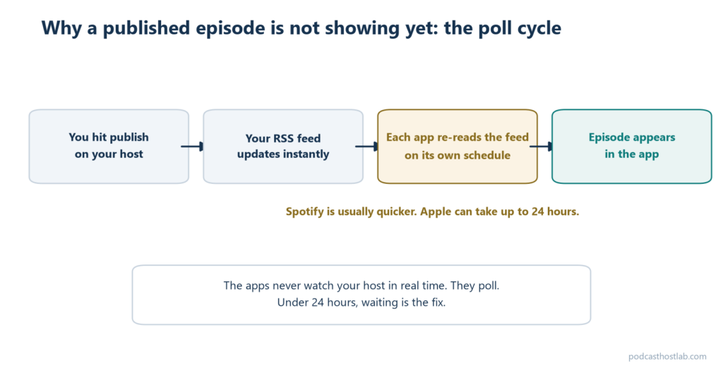 Diagram of the podcast poll cycle, from publishing on the host to the RSS feed updating instantly to each app re-reading the feed on its own schedule, with Spotify usually quicker and Apple taking up to 24 hours.